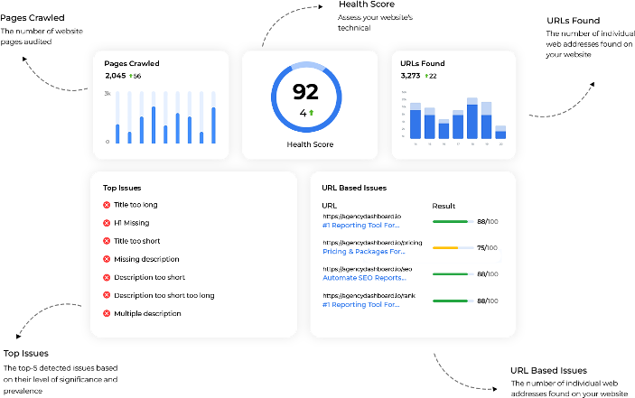 website audit services